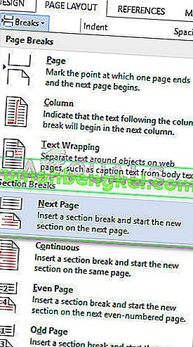 Insertar salto de sección en la página siguiente - Microsoft Word